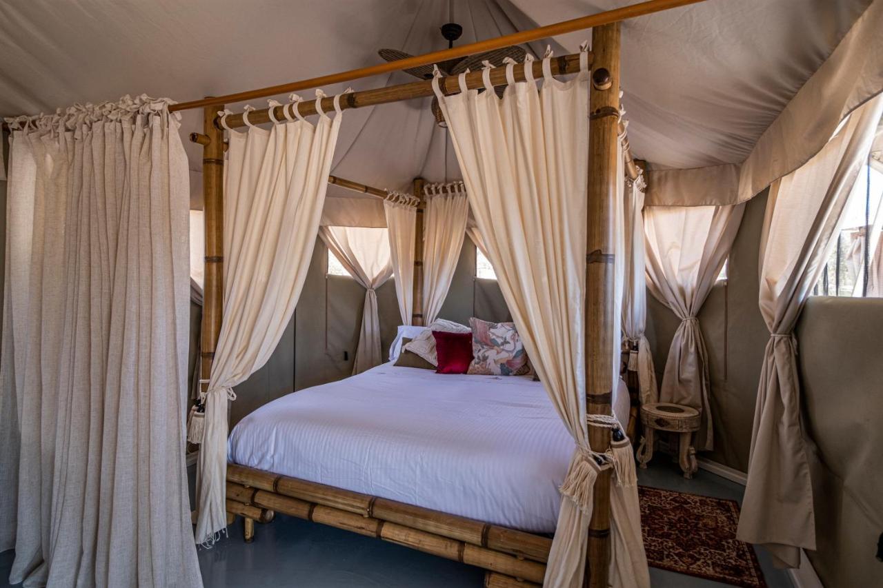 El Toril Glamping Experience Villa Parrillas ภายนอก รูปภาพ